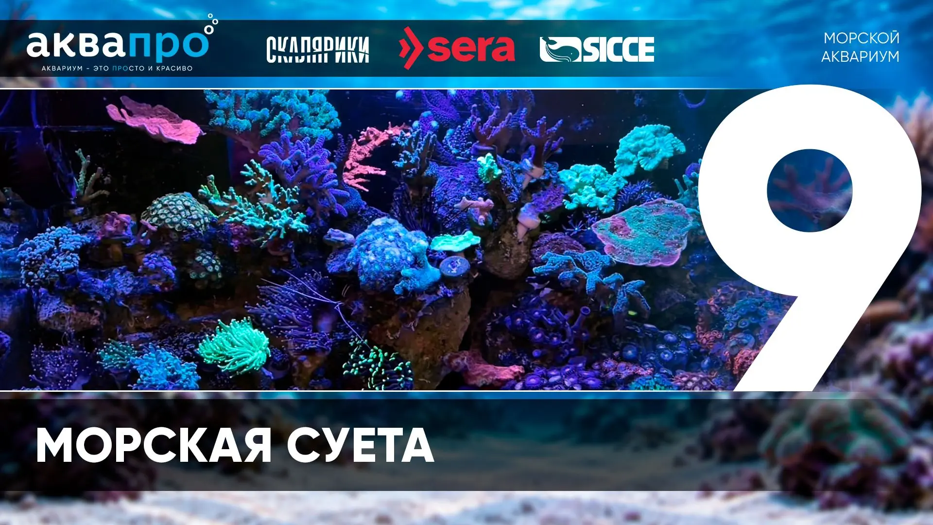 Фамилия Имя Отчество: Гребенюк Александр Сергеевич