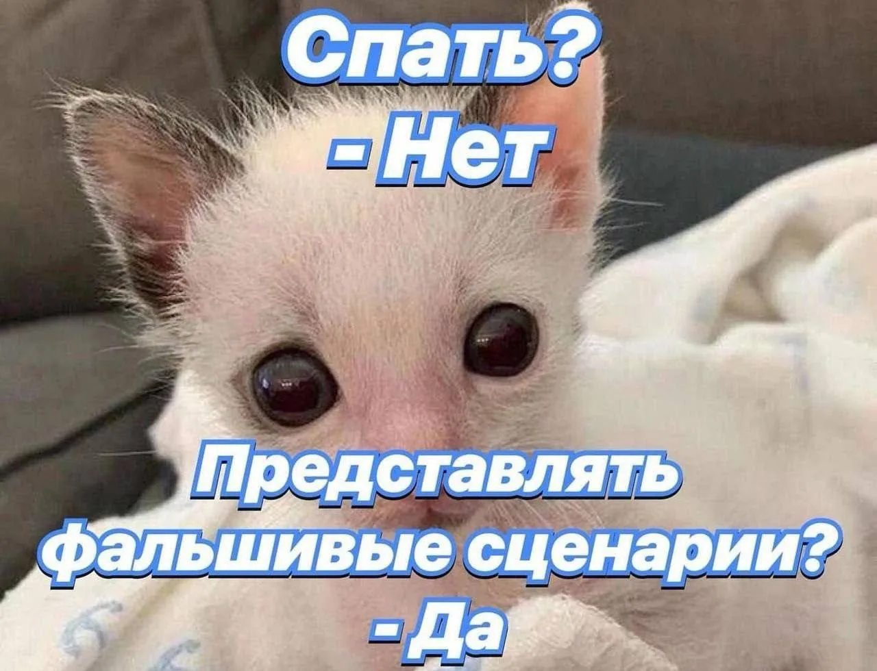 РЫБЫ, 15 июня. Пора уже снимать фильмы по сценариям, которые ты придумываешь перед сном

🪐Наш Бот с