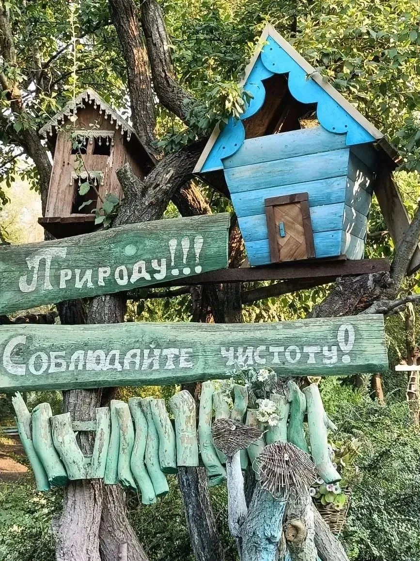 В посёлке Октябрьском пенсионерка Татьяна Левданская превратила сухое дно старого пруда...