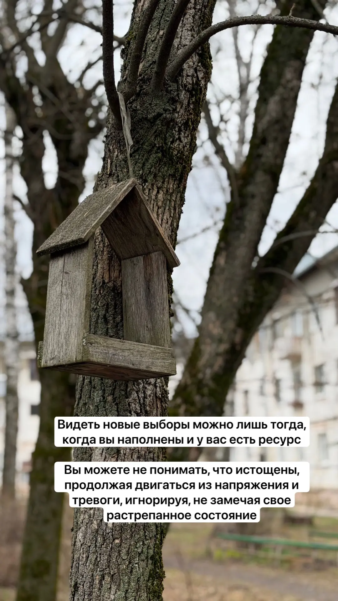 Дорогие, я хочу, чтобы вы стали более внимательными к себе 🙏 
Чтобы вы учились быть в контакте с со