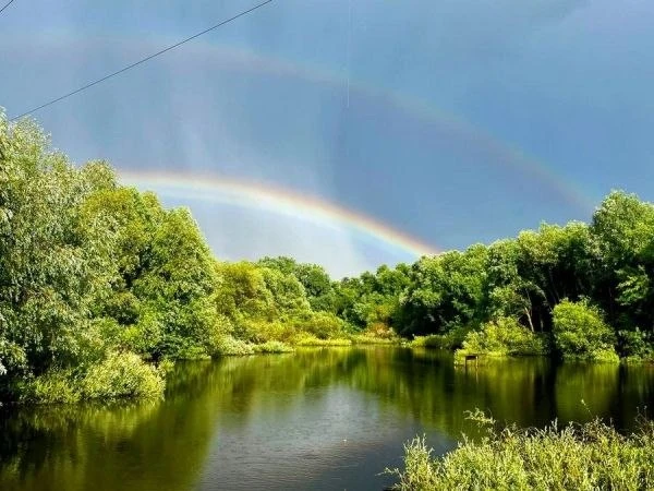 Через Курскую область идет грозовой фронт.