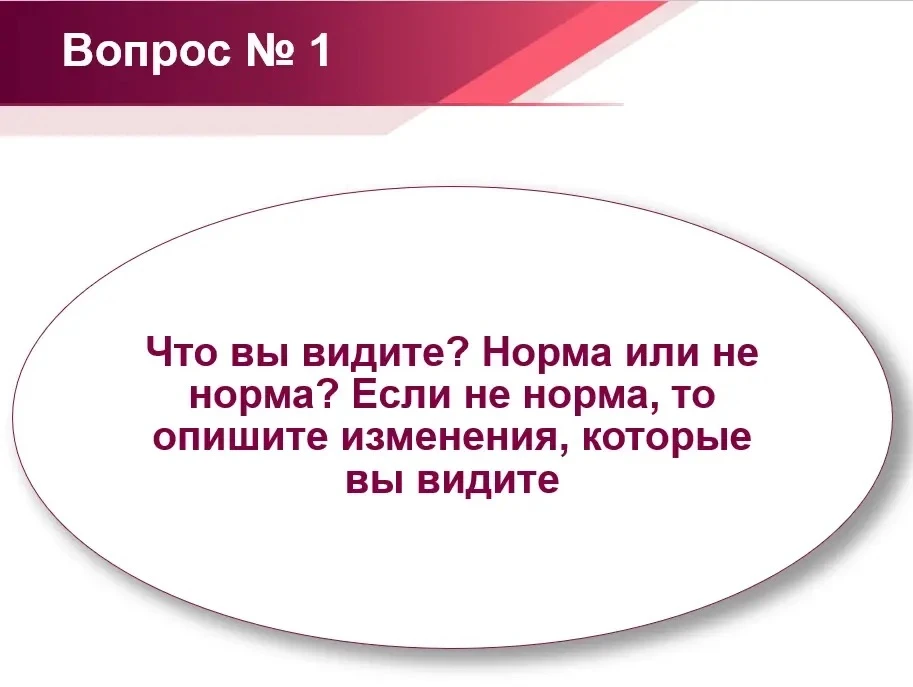 Уважаемые коллеги, независимо от темы месяца, одной из форм общения в клубе является пр...