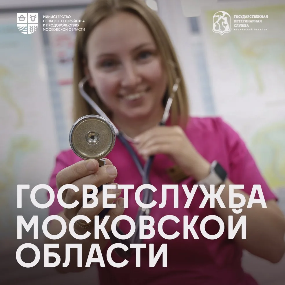 ❤️ Ветеринария – это призвание, которое выбирают сердцем