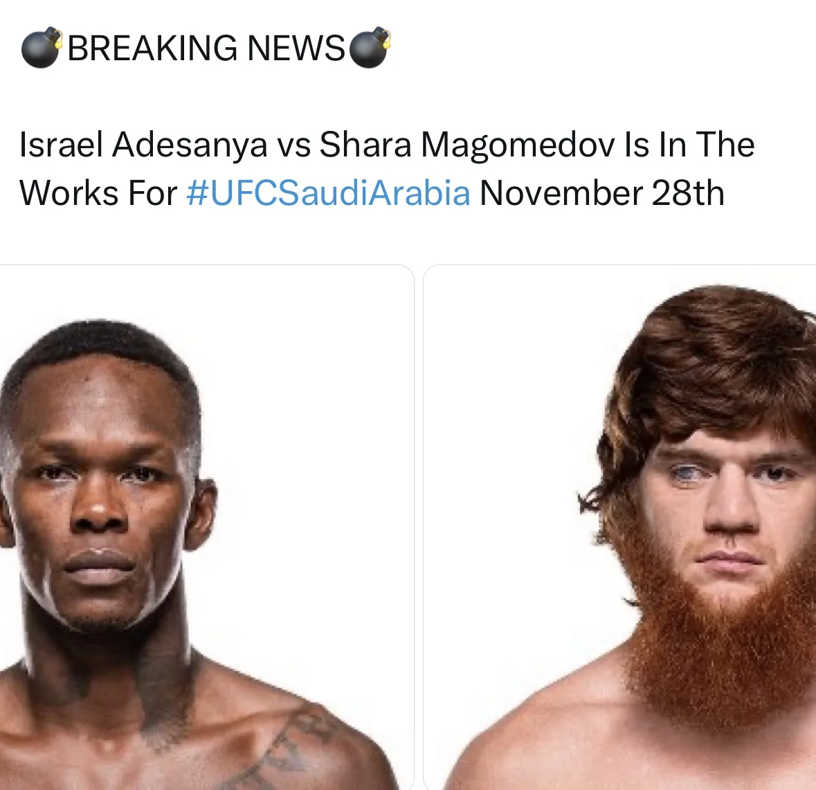 Анимешника на абордаж 🏴‍☠️