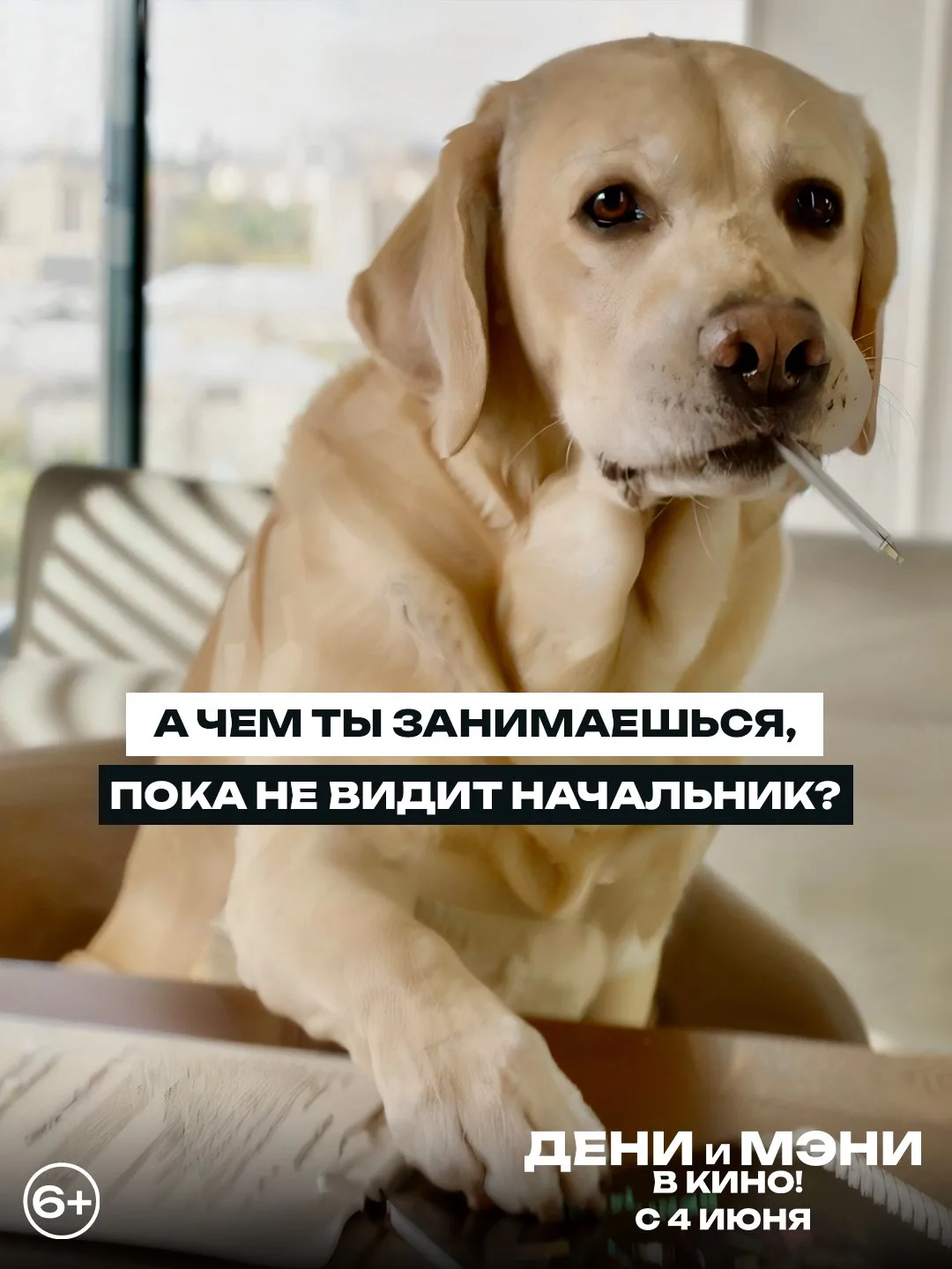 Мы - залипаем на роликах с Дени и Мэни, а вы?