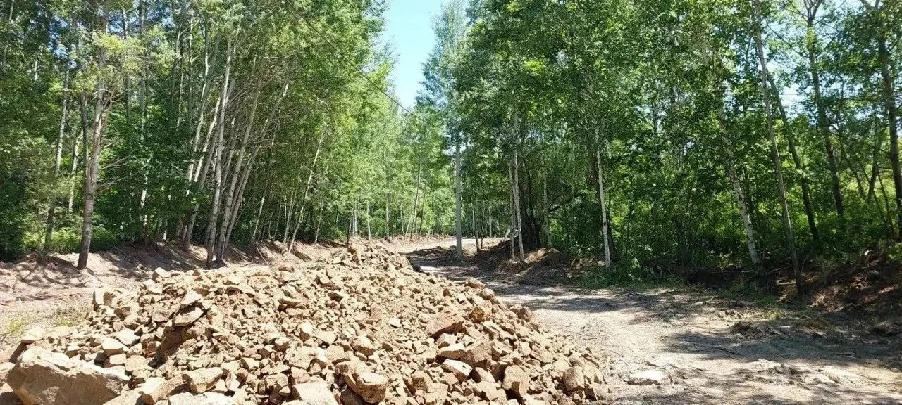 Ведутся работы по благоустройству территории озера Лотосов в селе Галкино