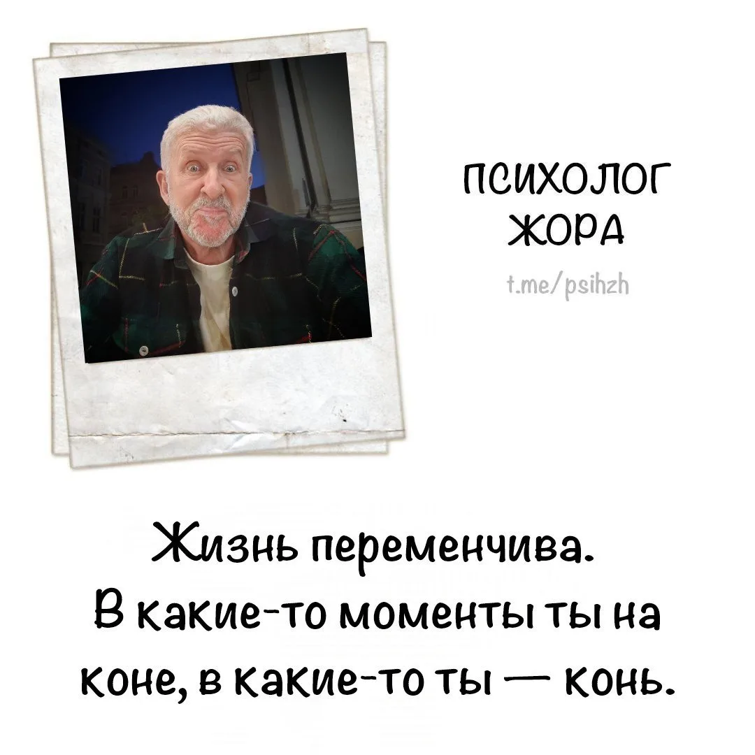#жиза_жоры