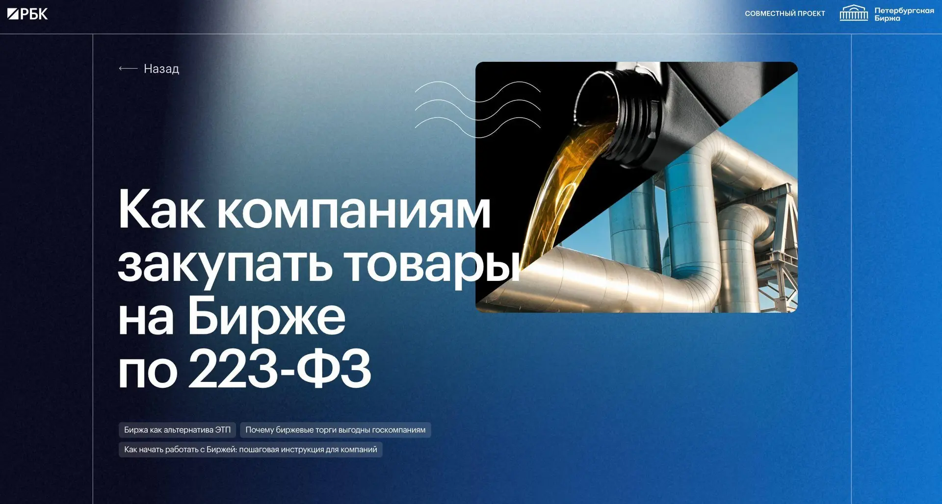 🏛️ Закупки по 223-ФЗ на Бирже: в чём выгода для компаний?