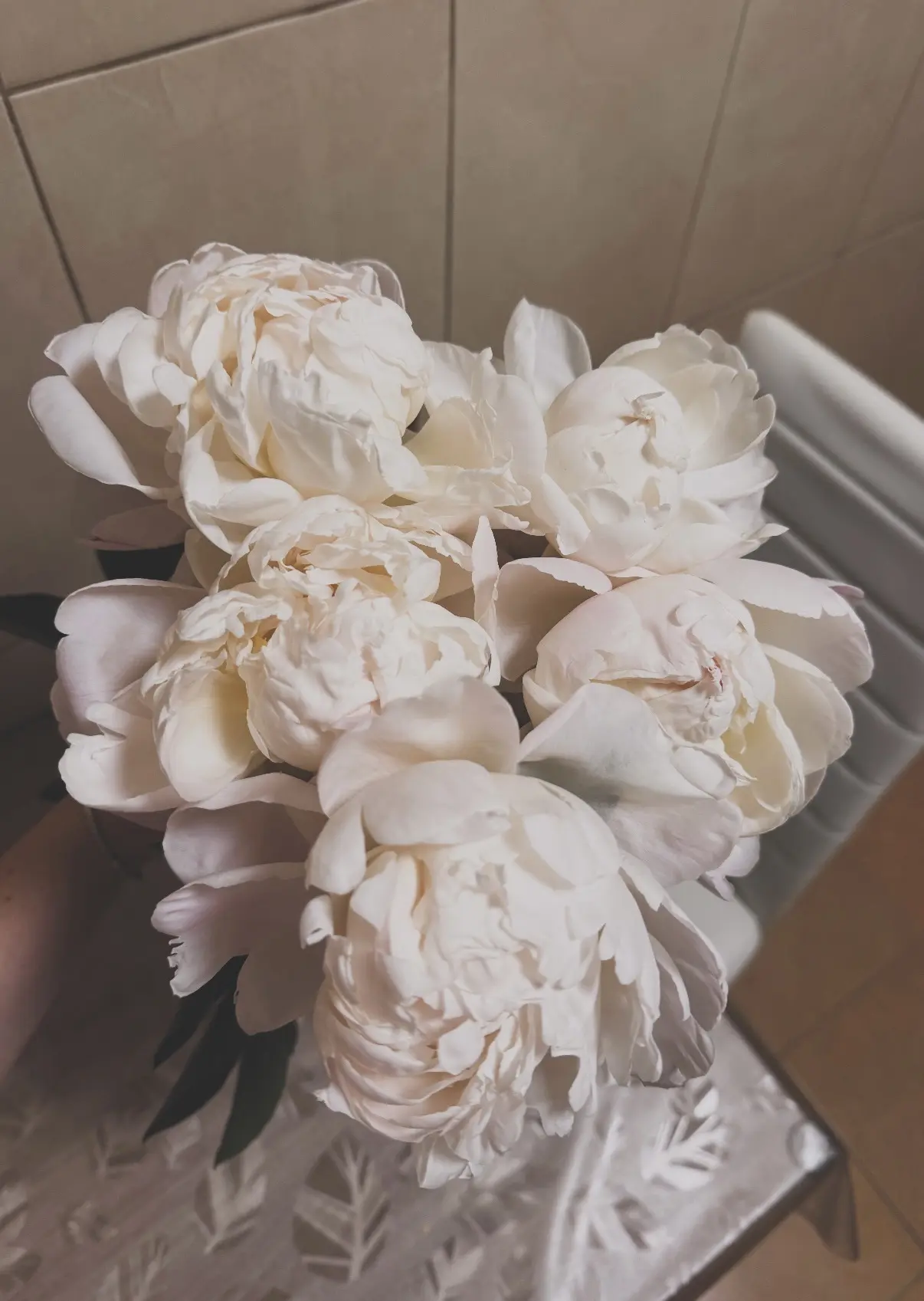 Машенька с пионами 🌸🌸🌸