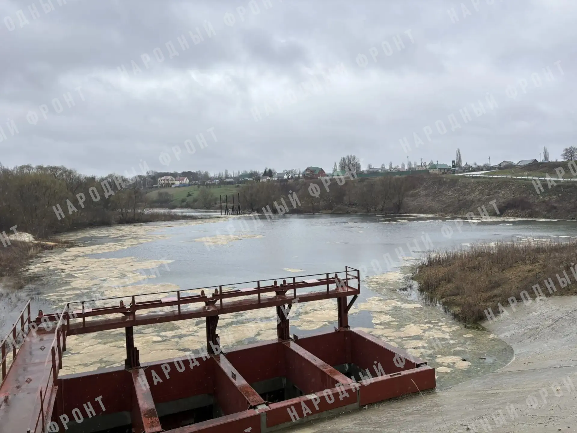 Экологическая проблема в Тюшевке: некогда любимый водоем превращается в лужу.