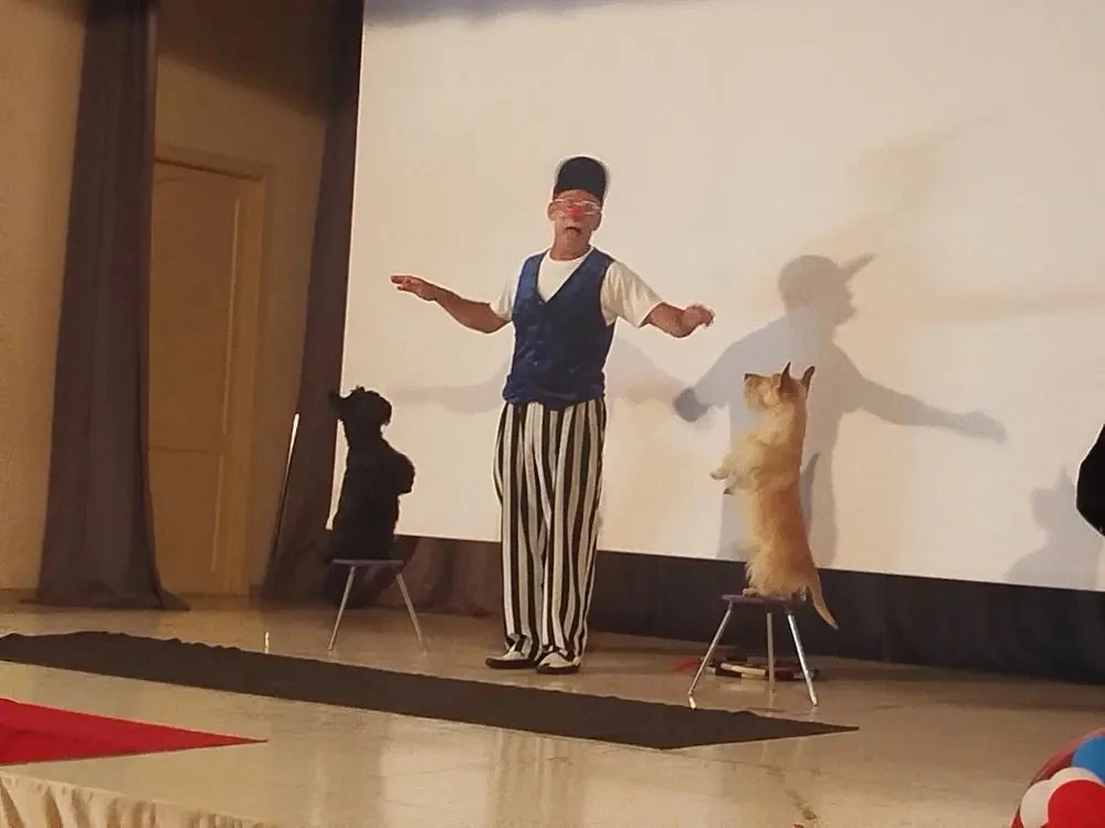 🎪🐶Цирк в лагере - смех, аплодисменты и послушные собачки!

🤹Вчера в наш лагерь приезжал цирк, и д