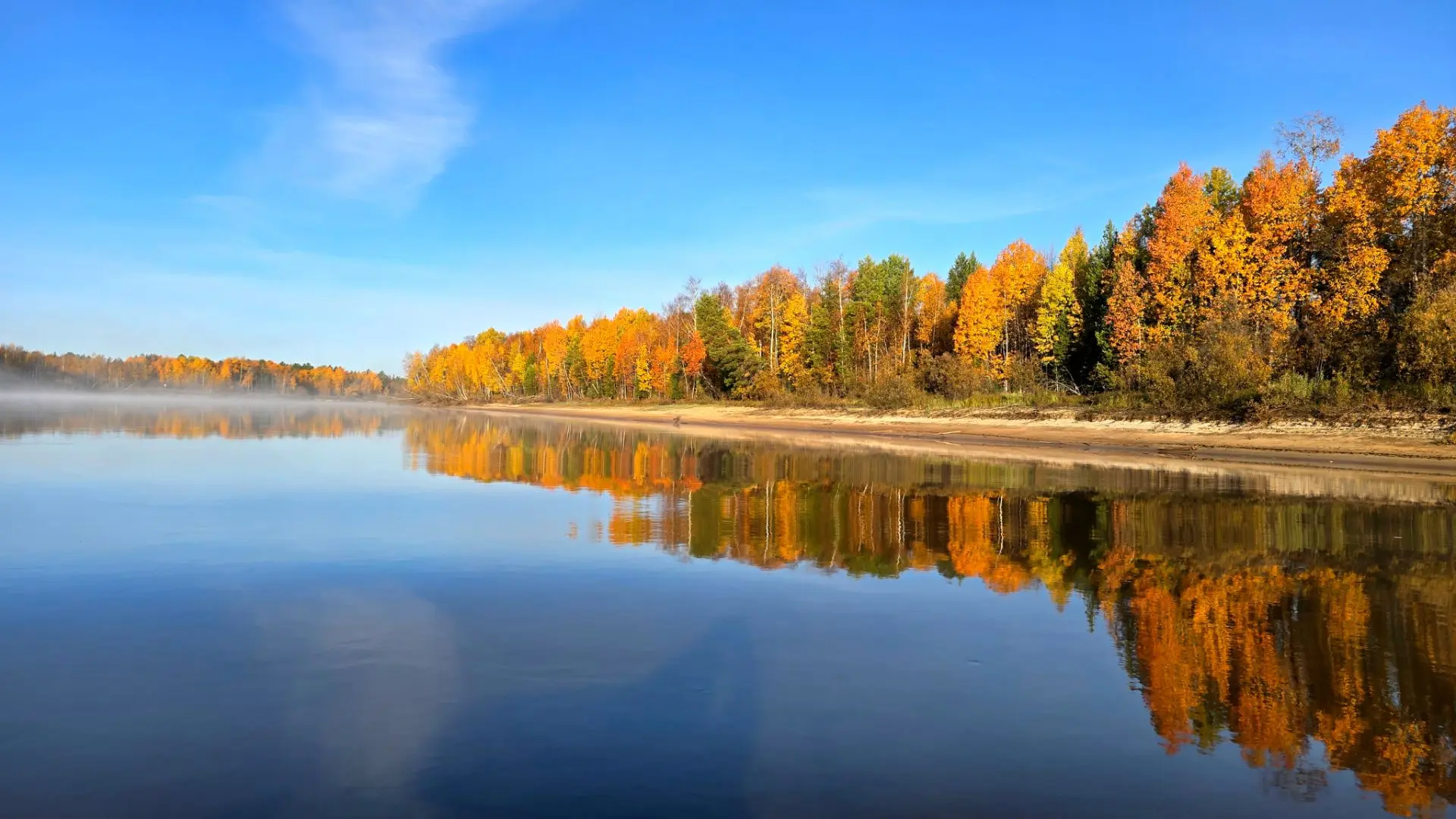 ОСЕННИЕ КРАСКИ 🍂🍂🍂
