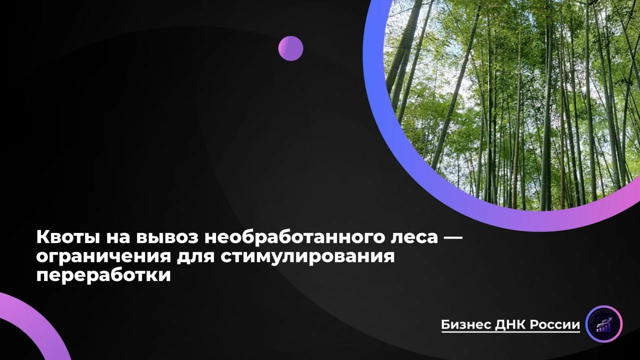 Квоты на вывоз необработанного леса - ограничения для стимулирования переработки