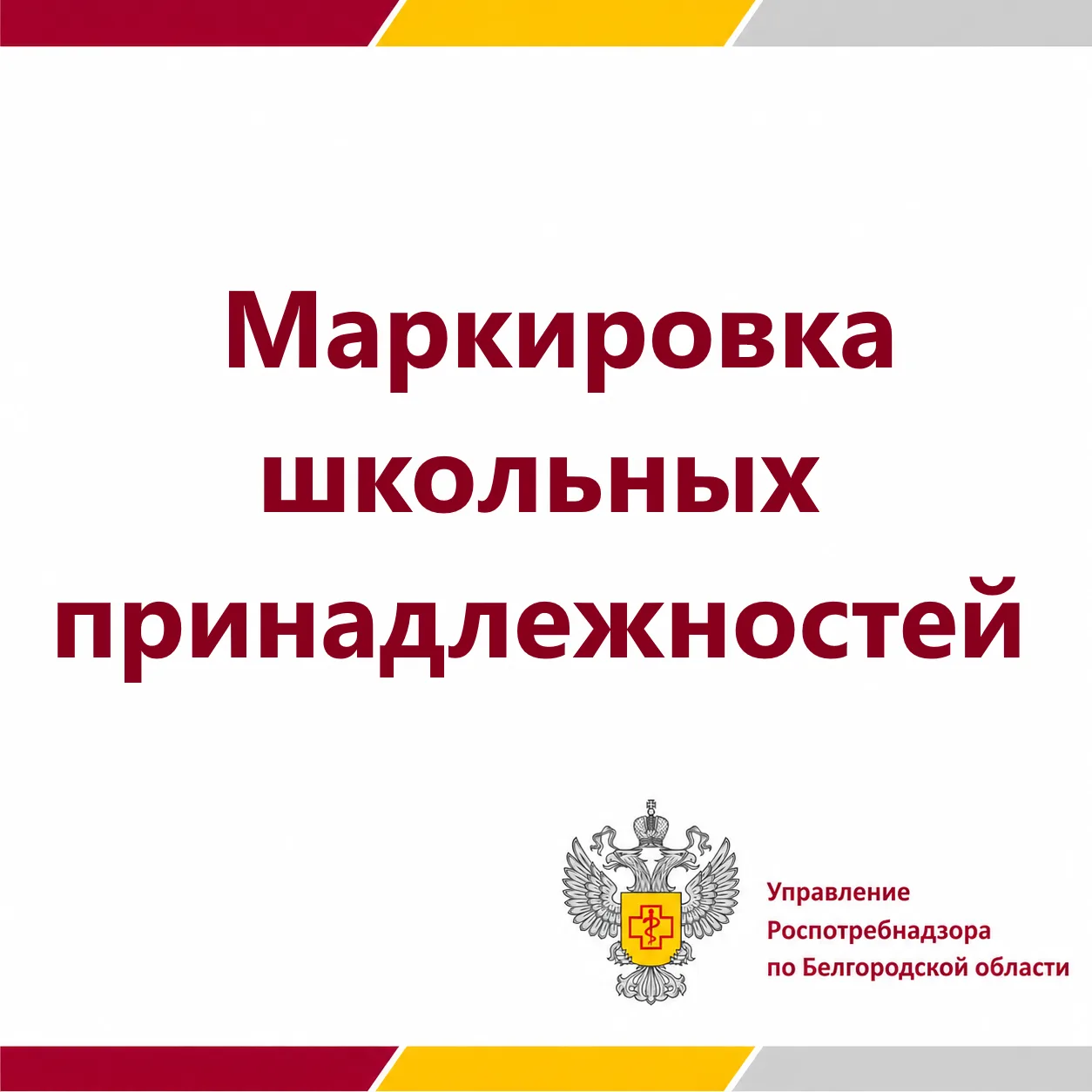 ать информацию о наименовании изделия, его назначении и возрасте пользователя.