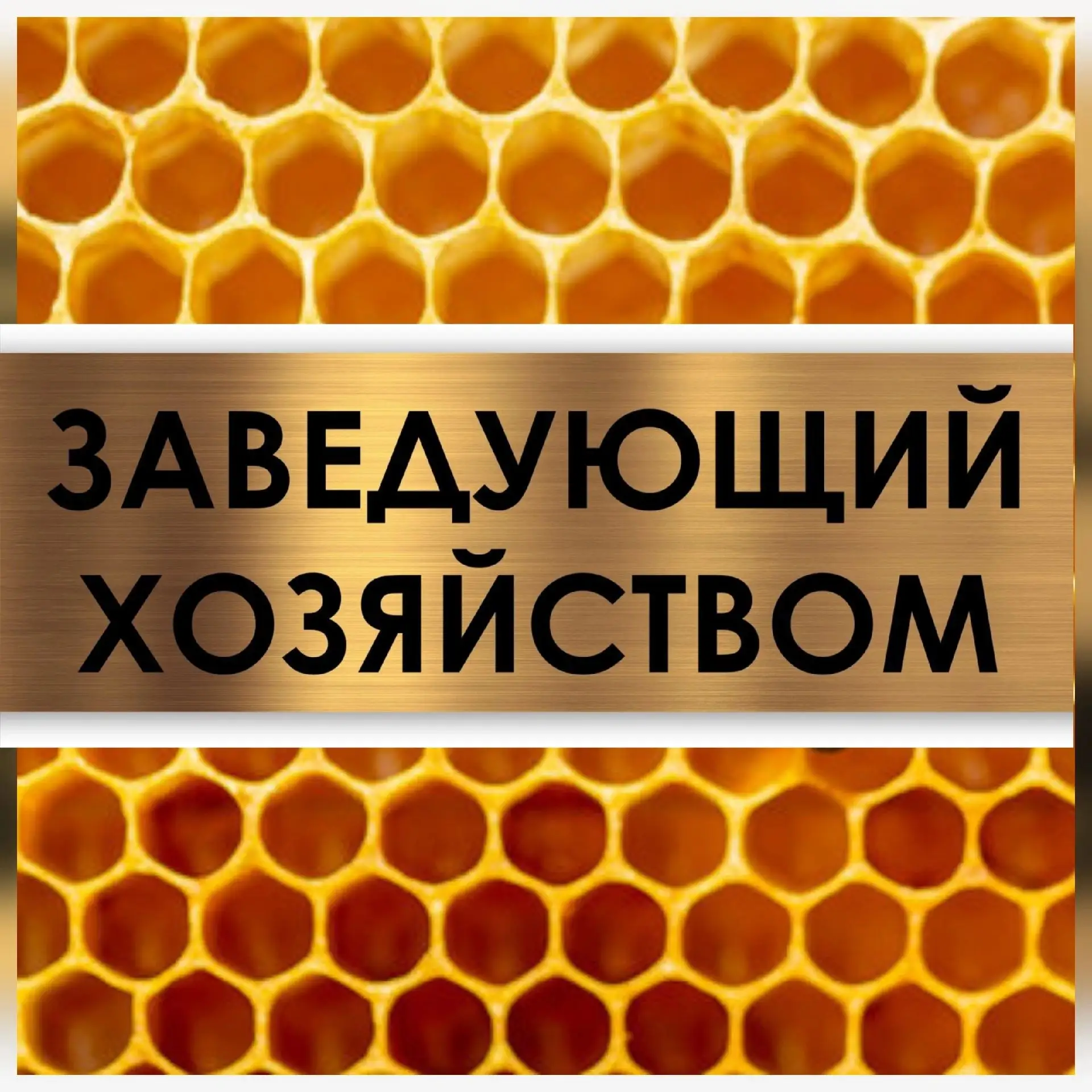 🎉 ВАКАНСИЯ В НАШЕМ ДЕТСКОМ САДУ! 🎉