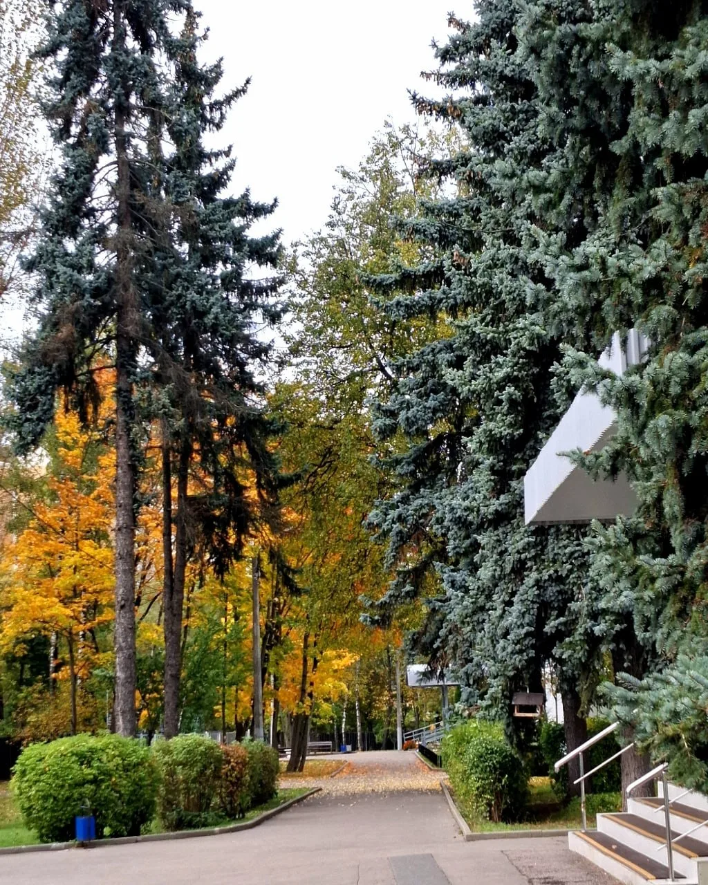 Подписчица поделилась с нами кадрами осеннего Солнцева 🍂
