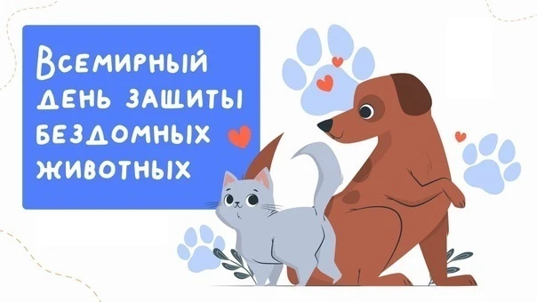 🐶Всемирный день бездомных животных: как помочь и почему это важно