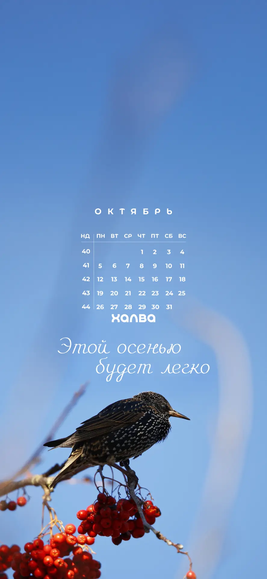 Завтра октябрь, а это значит, пора наводить уют, собирать друзей и печь пироги 🥧
