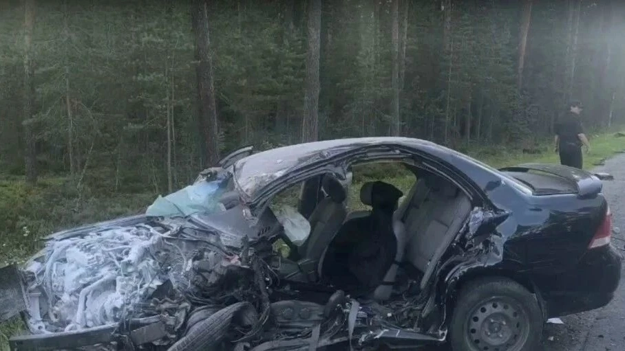 Пьяный водитель устроил смертельное ДТП в Приозерском районе