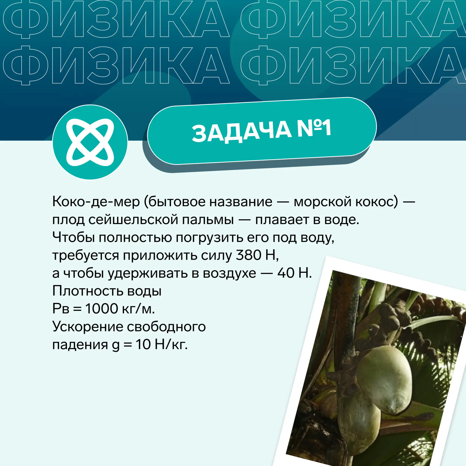 Конкурс «Реши задачу и получи подарок!»  Хочешь почувствовать себя частью настоящего олимпиадного дв