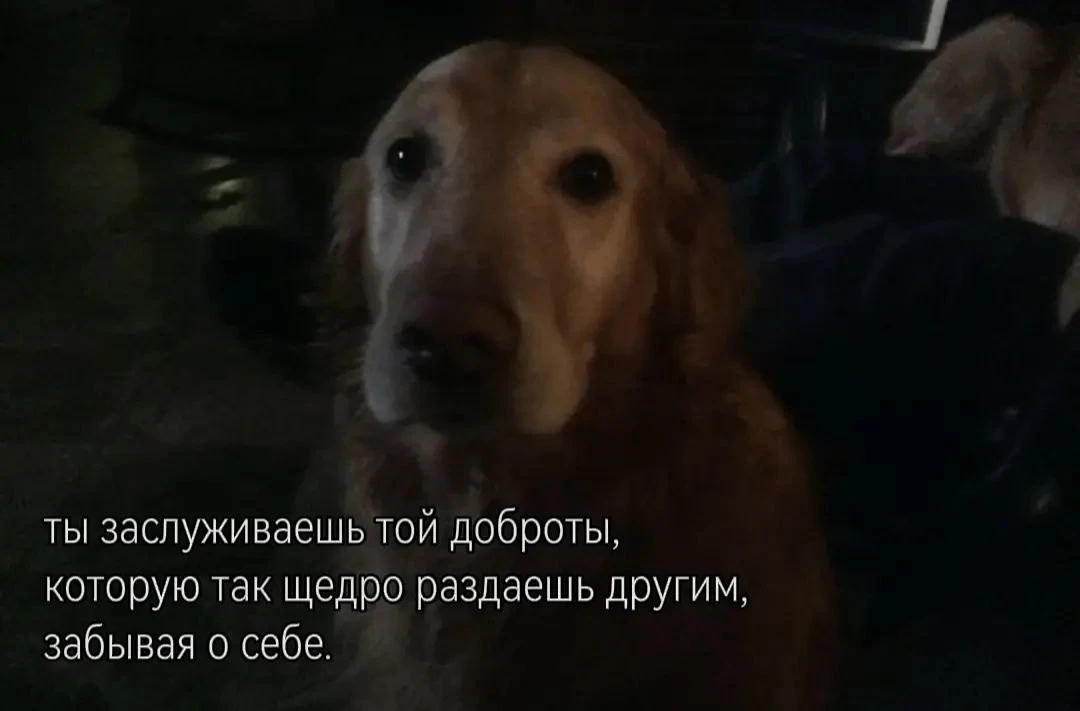 Ты правда заслуживаешь большего