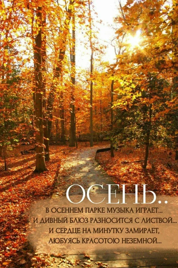 #осень