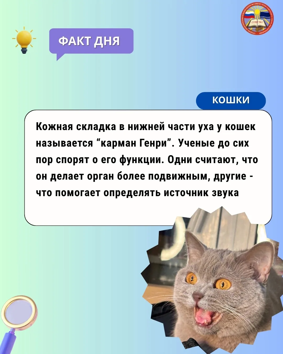 Проводим лето с пользой🤓
Сегодня такой факт дня😺

Если знали, ставьте👍
Если нет - 💚

#ПервыеВпер