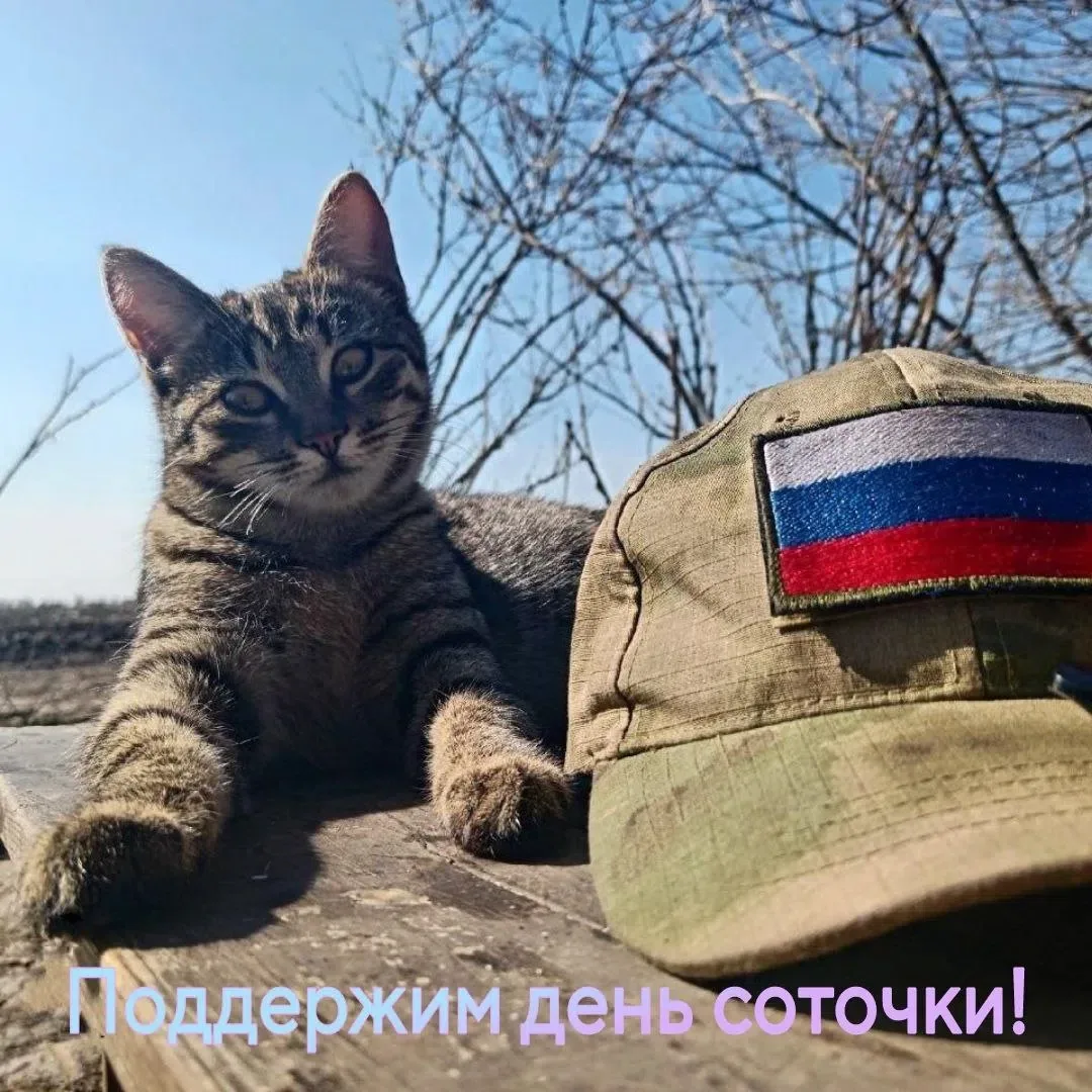 ⚡️⚠️ Добрый день, дорогие друзья и надёжный тыл!