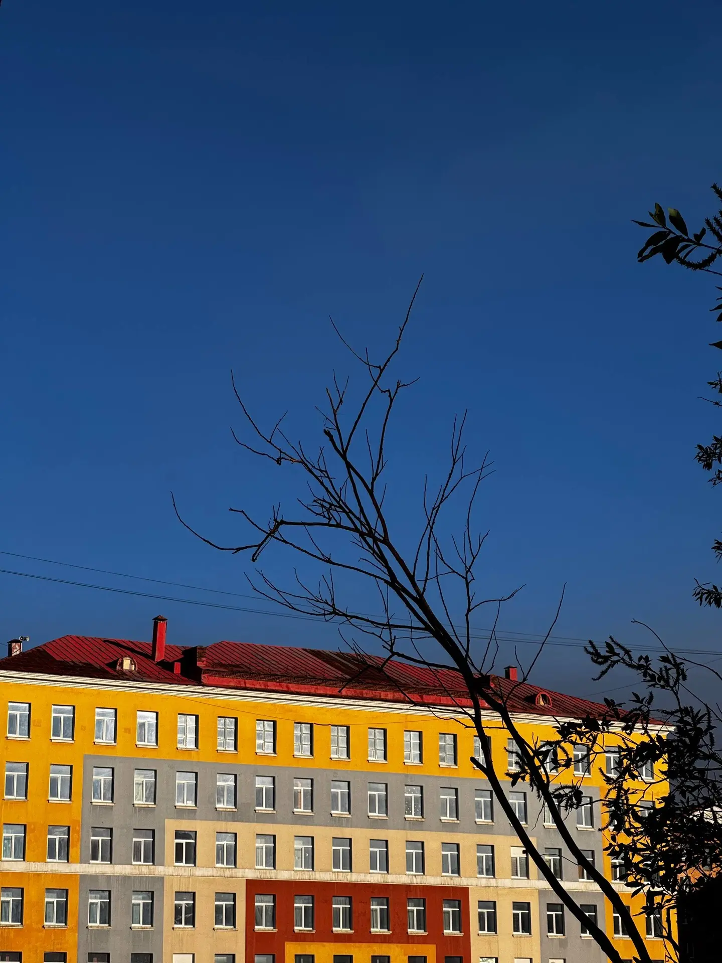 Лето в Норильске — это не про жару, а про настроение

⛅ Первая зелень после долгой зимы, северное со