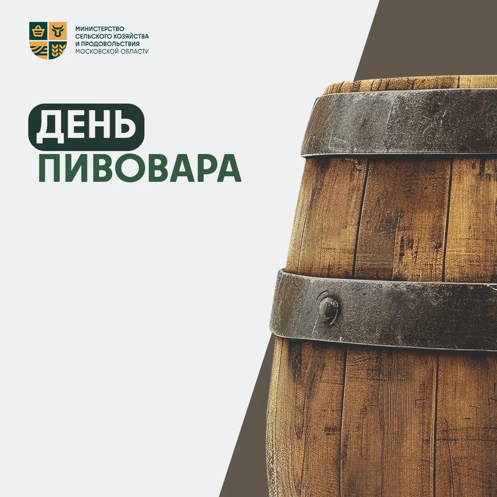 🍺 Пиво – дело тонкое. Особенно если крепость до 0,5%

Сегодня поднимаем бокал – символически, конеч