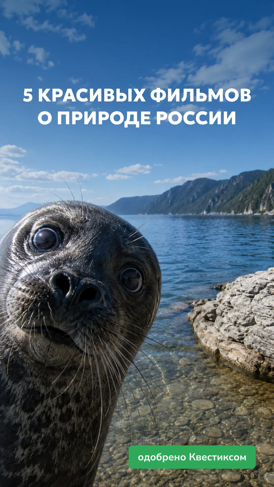 Какое счастье, что мы с вами живём в самой большой стране мира а все остальные нам зави...