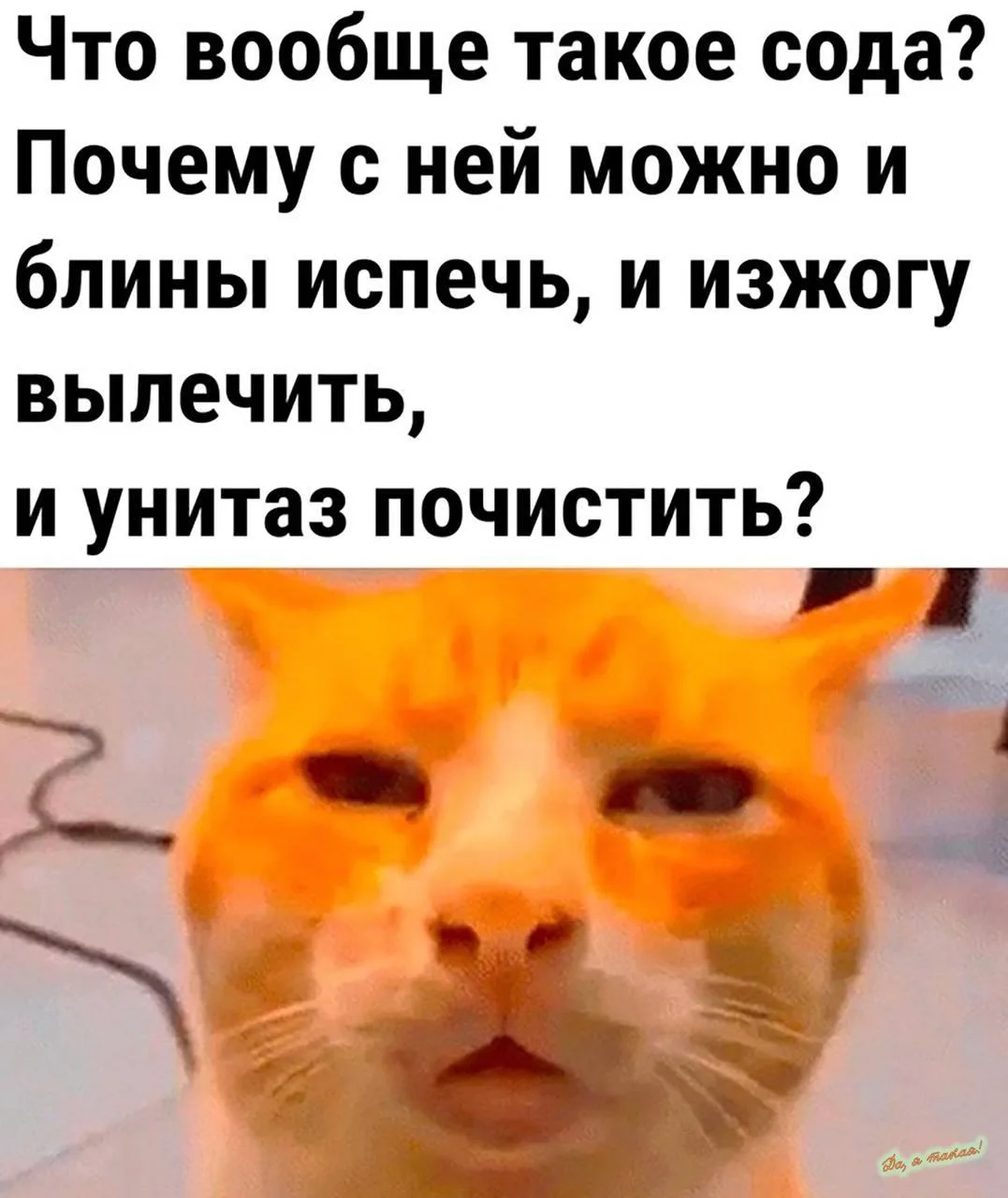 И нос промыть, горло подлечить и посуду вымыть 🧐