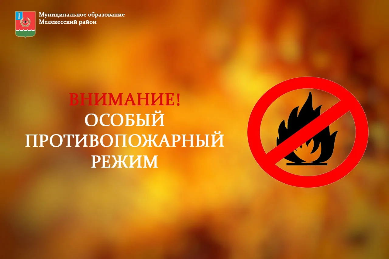 ❗Уважаемые жители и гости Мелекесского района❗

🔥Напоминаем вам, что с 8 июня введен особый противо