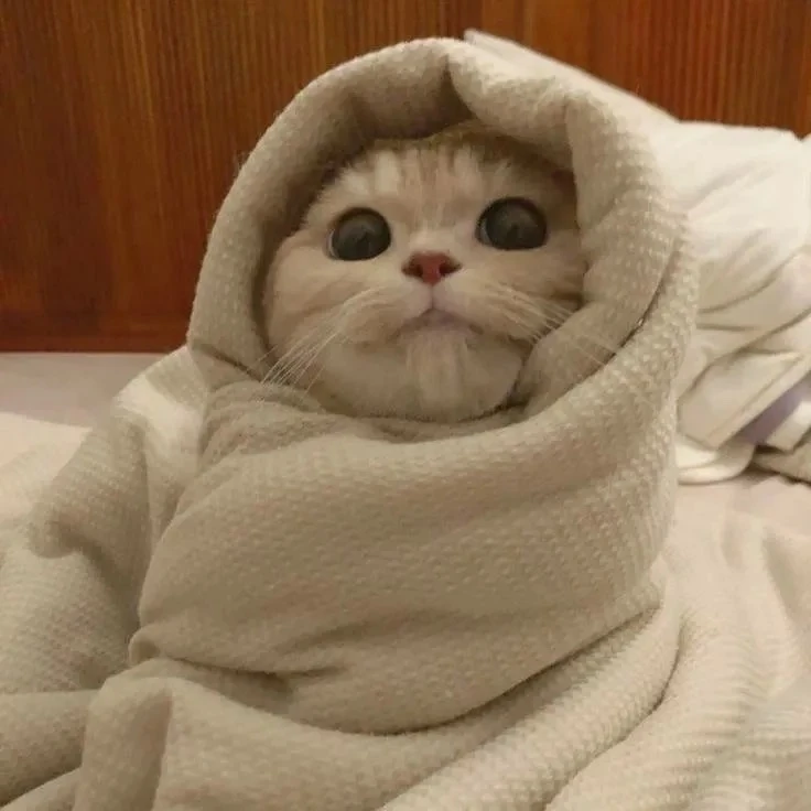 🥶 Готовимся к холодной ночи.