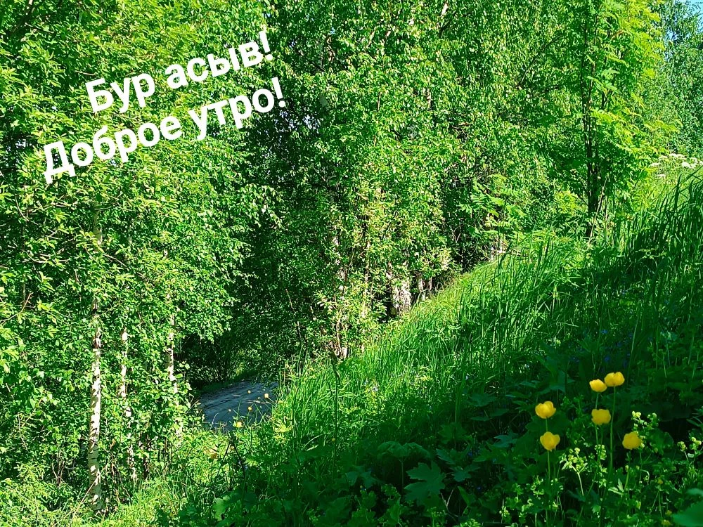 Доброе утро, 8 июня! ☀️
