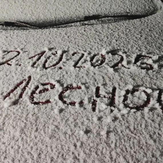 ❄️ Первый снег выпал сразу в нескольких регионах страны