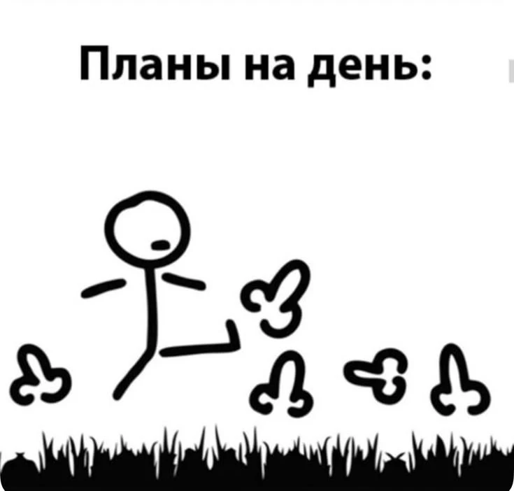 немного... Неправильного юмора вам с утра 😁