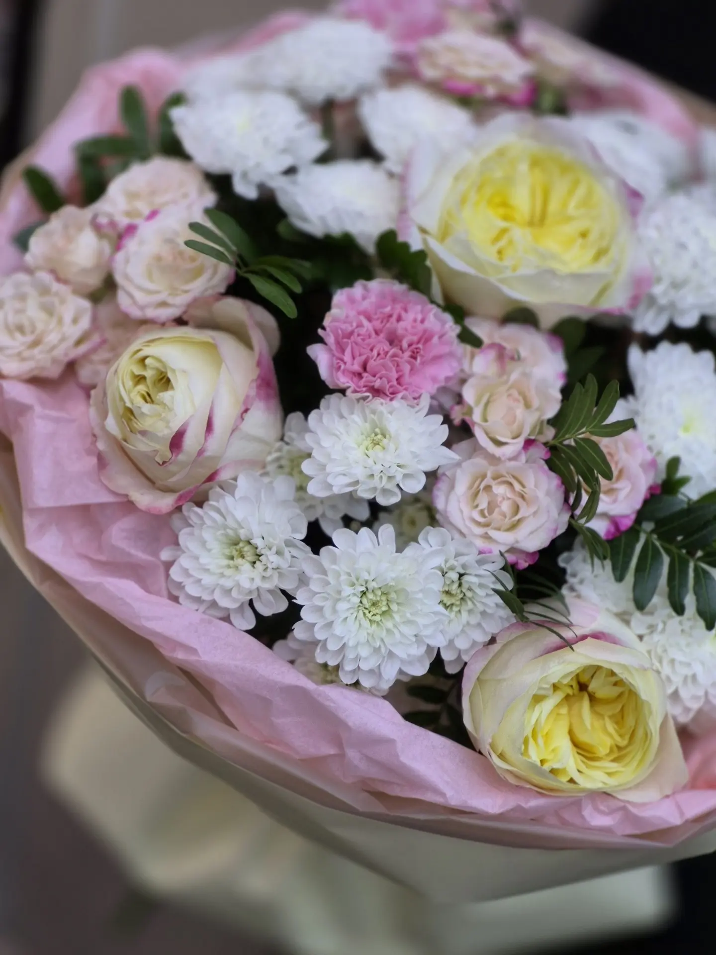 🌸 5850 🌸