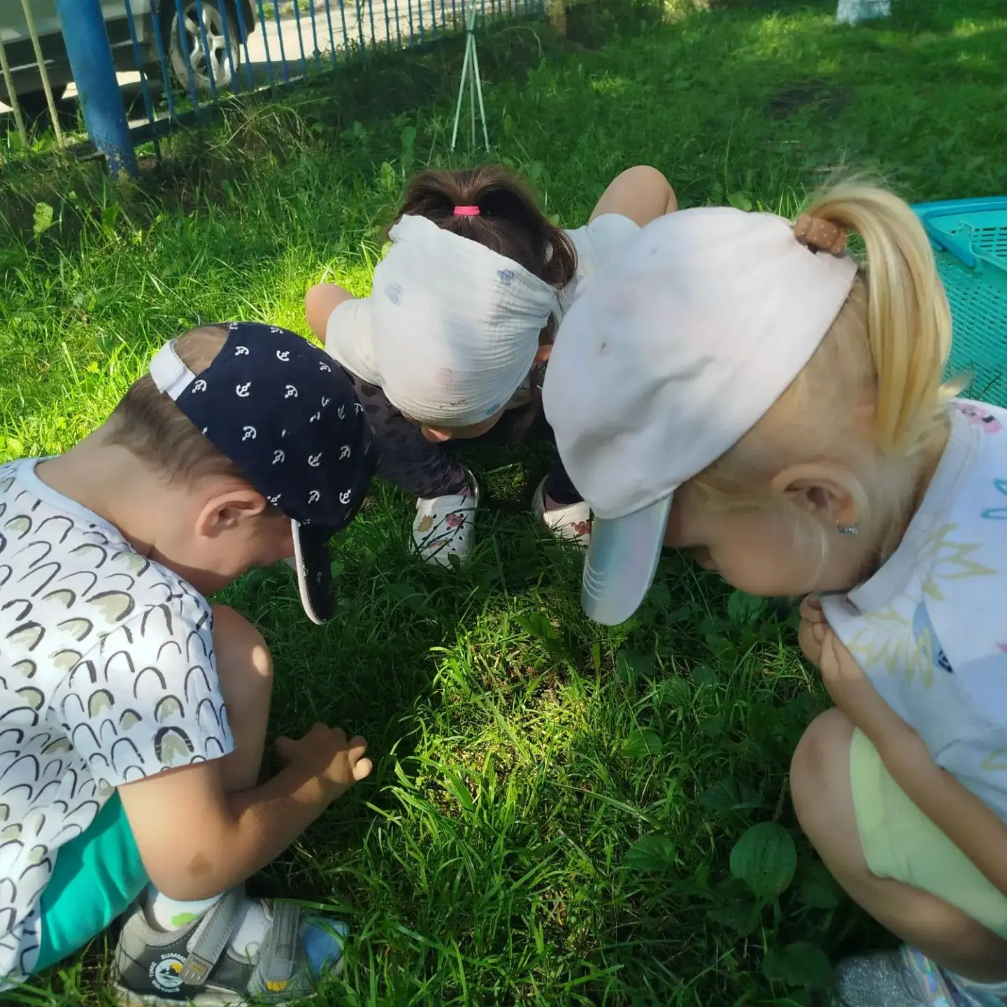 Летние открытия: как ребята из группы «Сказка» познают мир природы ☀️🌳