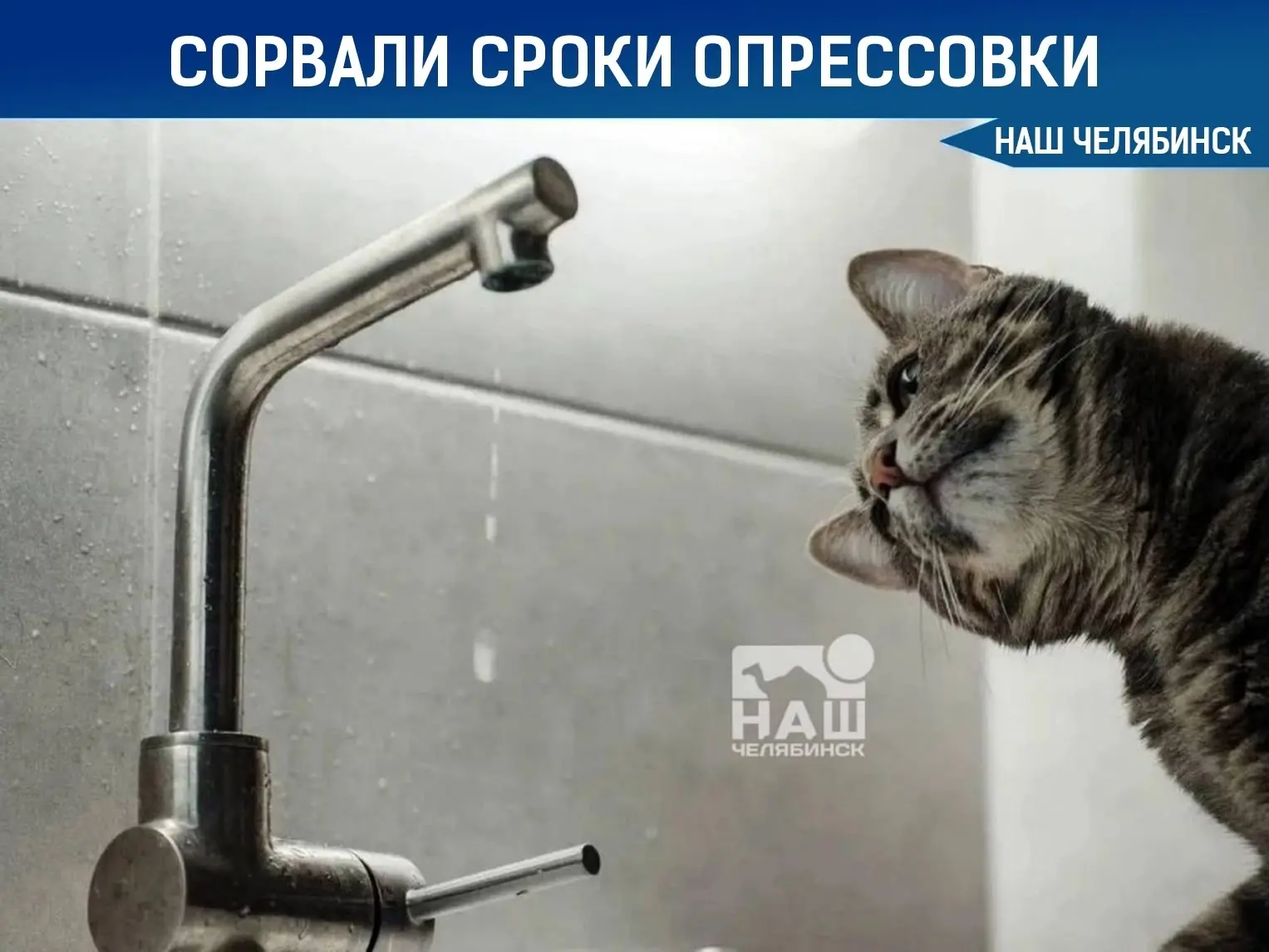 🌡 В Металлургическом районе продлили отключение горячей воды
Горячей воды не будет до 16 июня в 274