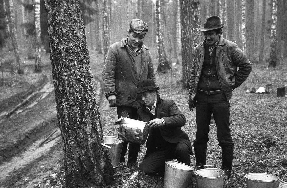 Мужчины собирают березовый сок в лесу, СССР, 1986 год.

☭ Мы из СССР☭