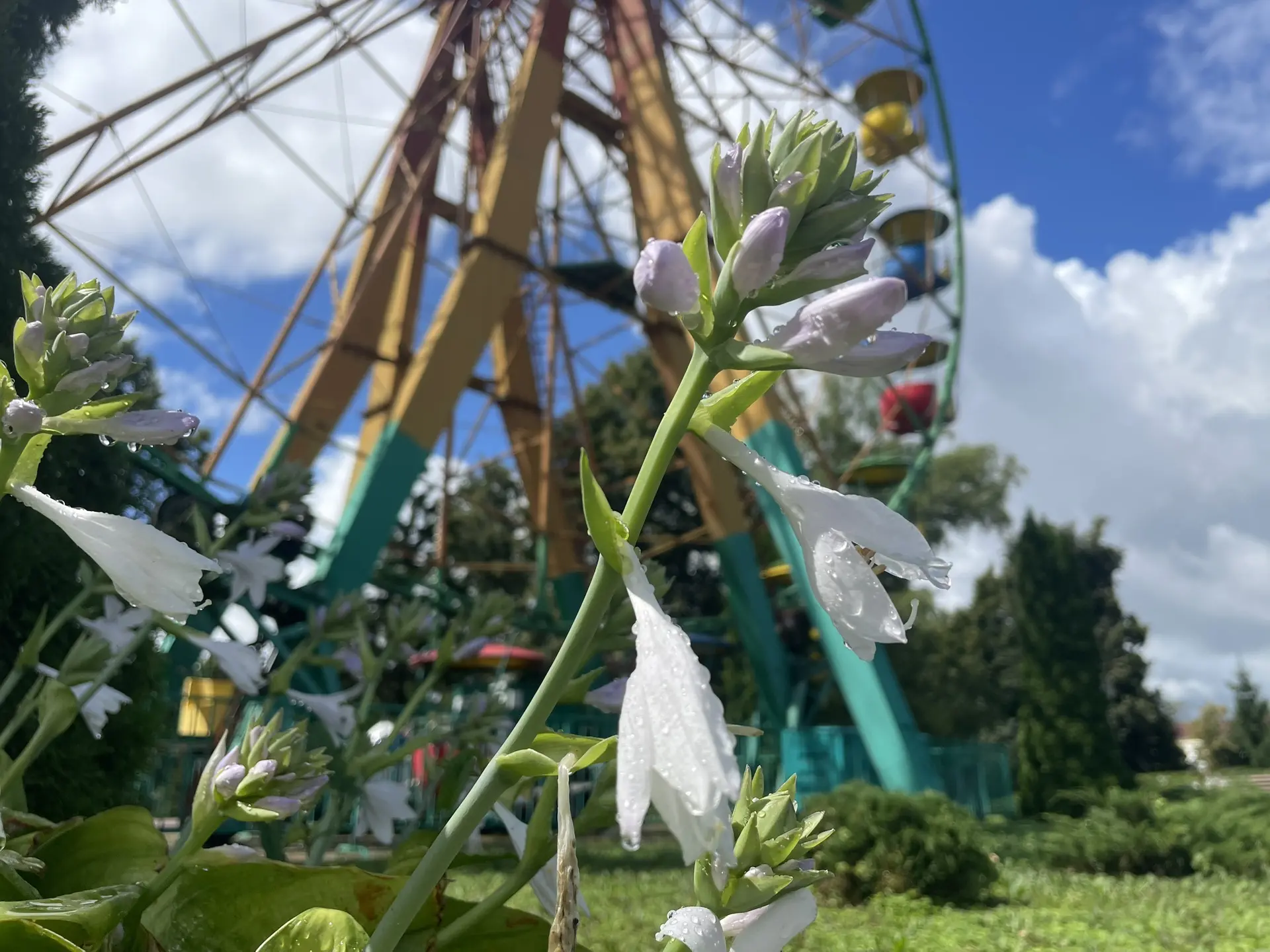 📸: Тамбов после дождя☀️

Все Новости Тамбова: Макс | сайт | ТГ | ВК | ОК | Дзен