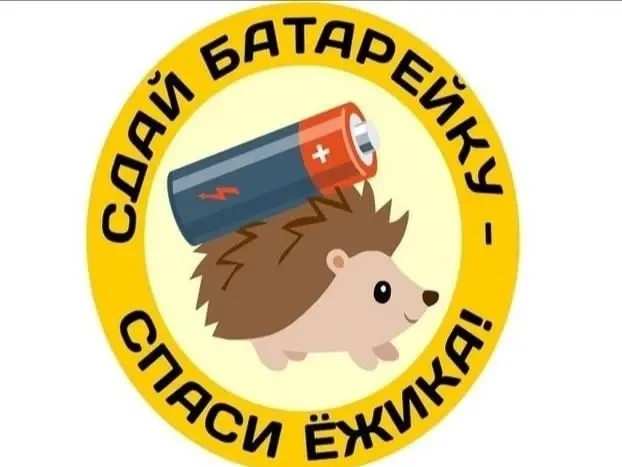 С 12 по 20 мая 2026 года в школе проводится