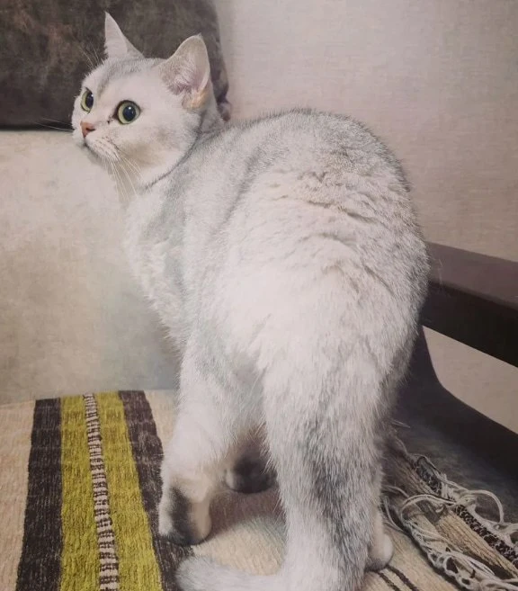 #Батайск