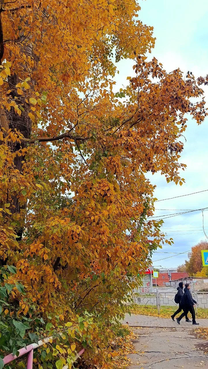 Прекрасный октябрь от нашего подписчика 😍🍁