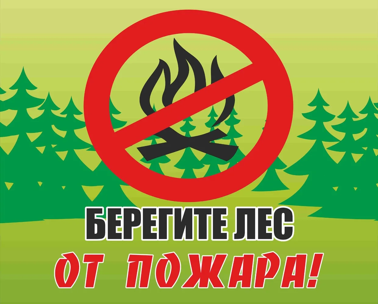 🔸Особый противопожарный режим в лесах Брянской области

☘️С 11 июня по 19 июля в большинстве леснич