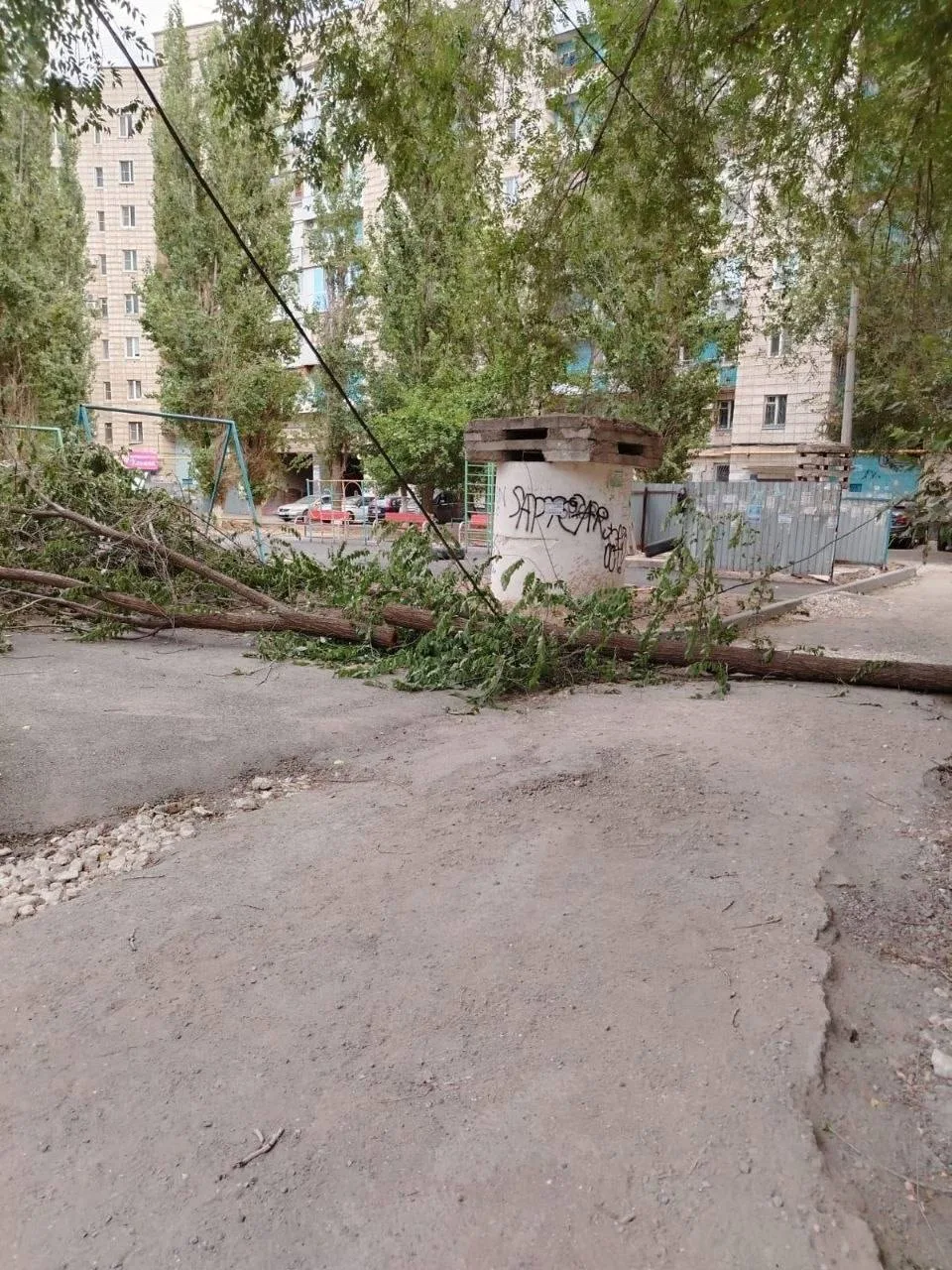 Дерево рухнуло на провода и перекрыло дорогу в Волгограде

Жители дома №25 на бульваре Энгельса в Кр