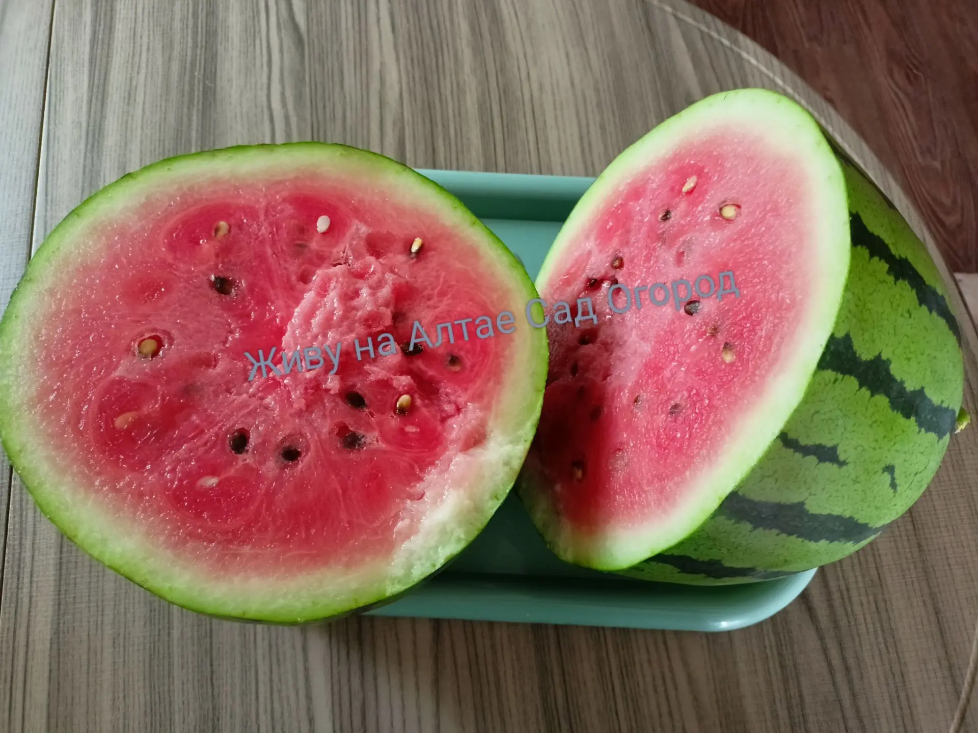 Сегодня сняли первый 🍉