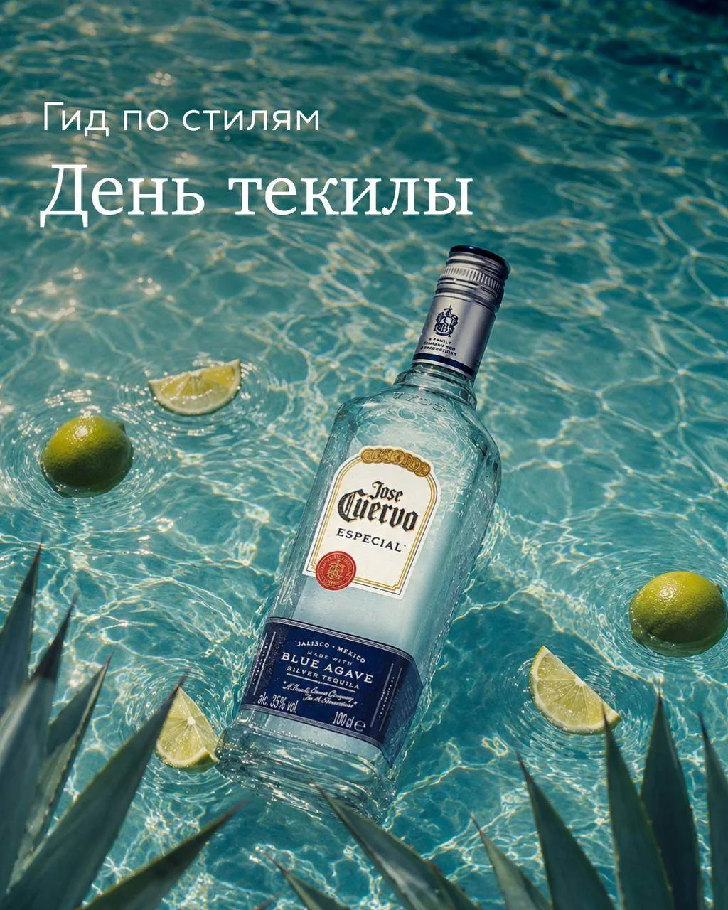 Если при слове «текила» вы до сих пор вспоминаете соль, лайм и шумные вечеринки, самое ...