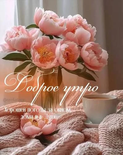 Доброе утро❤️